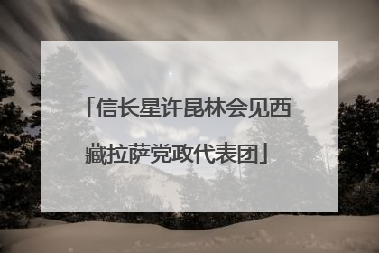 信长星许昆林会见西藏拉萨党政代表团